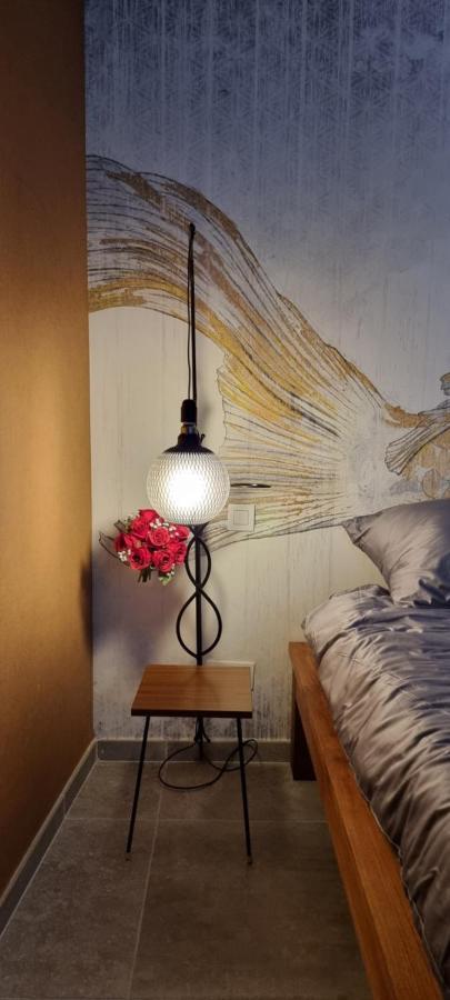 Logies La Chevre Folle - Lodging & Cooking In Style With Shared Kitchen Οστένδη Εξωτερικό φωτογραφία